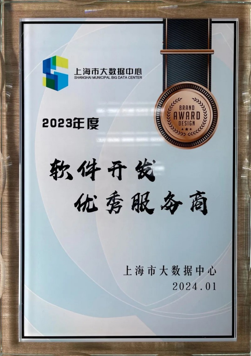 上海软件开发行业:迈向智能时代的步伐